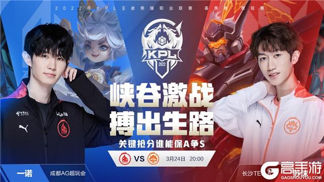 在男篮世界